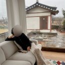 스테이폴앤메리 이미지