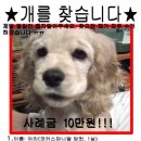 시흥도원초등학교 이미지