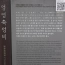 영영축성비 이미지
