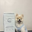 강아지 배변용품 반려세상 기저귀 수컷 대형 후기