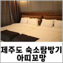 아띠꼬망 | 제주도 키즈 풀빌라 펜션 아띠꼬망, 아이와 놀기 너무 좋아 강추♬