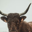 사하시장 이미지