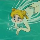 신우수영장 이미지