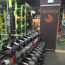 베어짐(BEAR GYM) 이미지