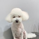 견생묭실 이미지