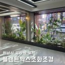 금강조경인테리어(주) | 조화조경 전문업체 결과로 증명하는 퀄리티 요양원 로비 연출