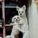 올페우스 | 240919 뮤지컬 하데스타운 후기 - 박강현, 강홍석, 린아, 김환희, 양준모