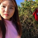 둔내아울렛