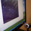 이미호아이래쉬 | 홍대속눈썹연장 후기. 이미호 아이래쉬 홍대점 추천!