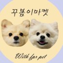 설기마켓
