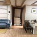 서현제일공인중개사사무소 이미지