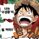 해우소(바다에서키운소) | 두번째 수확하다. 일요일은 베란다 출근하기 좋은 날..+_+b