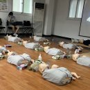 견생냥품무인24시도봉보건소점 | 한달동안 먹고 자고한 일기