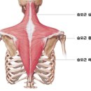 봉천역헬스, 봉천역PTㅣ천샘PT 이소은트레이너ㅣ여자힙업운동 제니어깨 덤벨웨이트
