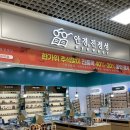 안경진정성 이마트계양점 | 계양구안경 계산동안경점 안경진정성