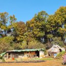 부곡2리 마을회관 이미지