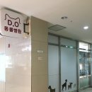 디오 동물병원 이미지