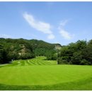 센츄리골프연습장 이미지