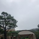 [캐슬파인GC] 주말 1부 라운딩 후기 :: 구장 컨디션, 드라이빙 레인지, 그늘집 메뉴 정보