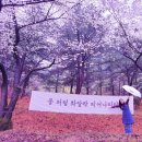 수려원 이미지
