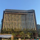 플라자호텔 | 서울 호캉스 추천, 8세 6세 아이들과 다녀온 더 플라자 호텔 리얼후기/시청역 호텔 수영장, 조식 이용 후기