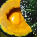 채식요리(주간) 이미지