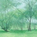 제85회 안동미협전 | 한 겨울에도 푸릇하게 &#39;식물그림&#39;김재현 작가