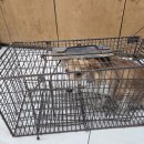 최종주동물병원 이미지