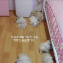 새벽