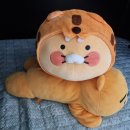 임인년 호랑이해 기념 어흥춘식이 모시고 온 후기 파리바게트 영통삼성점 feat. 갓 구운 크루아상