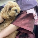 현헤어필 - 홍천군 | 현헤어필