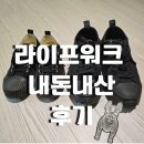 라이프워크 내돈내산 후기