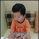 개구리노래클럽 - 부천시 원미구 조마루로291번길 40 | 개구리노래클럽