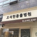 오석헌동물병원 이미지