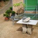 재성농장 이미지