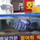 안동네상회 네이버블로그