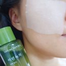 네이처리퍼블릭 10월신상 기초케어 어린녹차순한토너크림에멀전