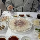 울산 북구 진장동 회센터 | 울산회시장 솔직후기