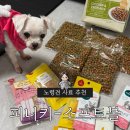 주식회사이롬 | 반려 노령견 말랑소프트볼 사료추천! [피니키 - 치킨야채]