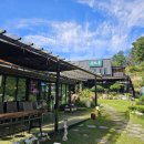 동치골 허브 야생화 마을 | 돈까스 먹고, 누가 사줄 땐 오리고기 먹고 뭔들 맛있는 "동치골허브야생화마을" (경상북도 울진군 죽변면)