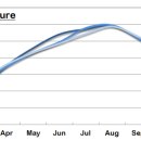 숲속동물병원 이미지