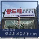 왕도매세종유통