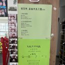 팀더킹MMA | [ 제주 외도일동 | MMA ] " 로드FC 팀더킹MMA " 로드FC 출전 선수들이 직접 지도하는 체육관 ! 제주...
