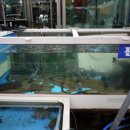 예지수산 이미지