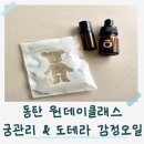 도테라 | 동탄원데이클래스 추천, 궁관리와 도테라 감정오일 솔직후기