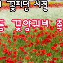 꽃;애정 이미지
