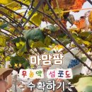 금풍농장 네이버블로그