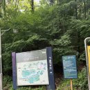 서울대공원 | 서울대공원 캠핑장 꿀팁 후기