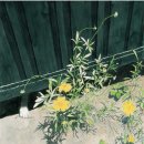 여름을 그리다 이미지