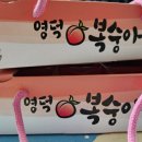 고향사랑기부제 영덕 복숭아빵 먹은 후기